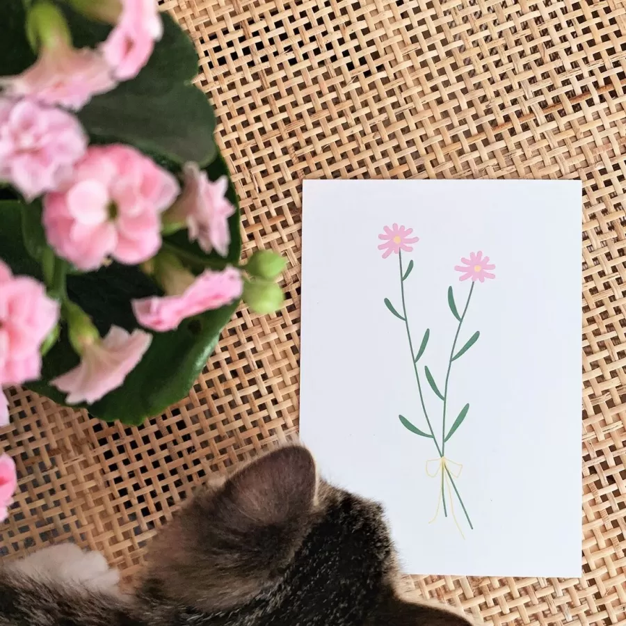 Helle Kakkarat Postikortti>Helle Visuals Store
